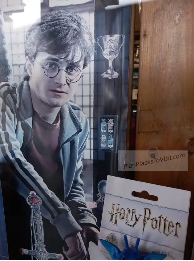 Photo of the Harry Potter Halifax Shop Window Display